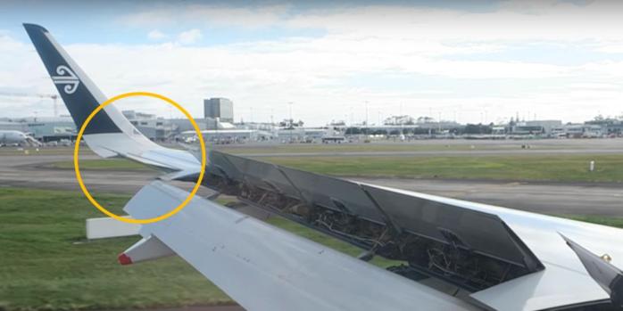 很忙很法国副翼和谁在一起了