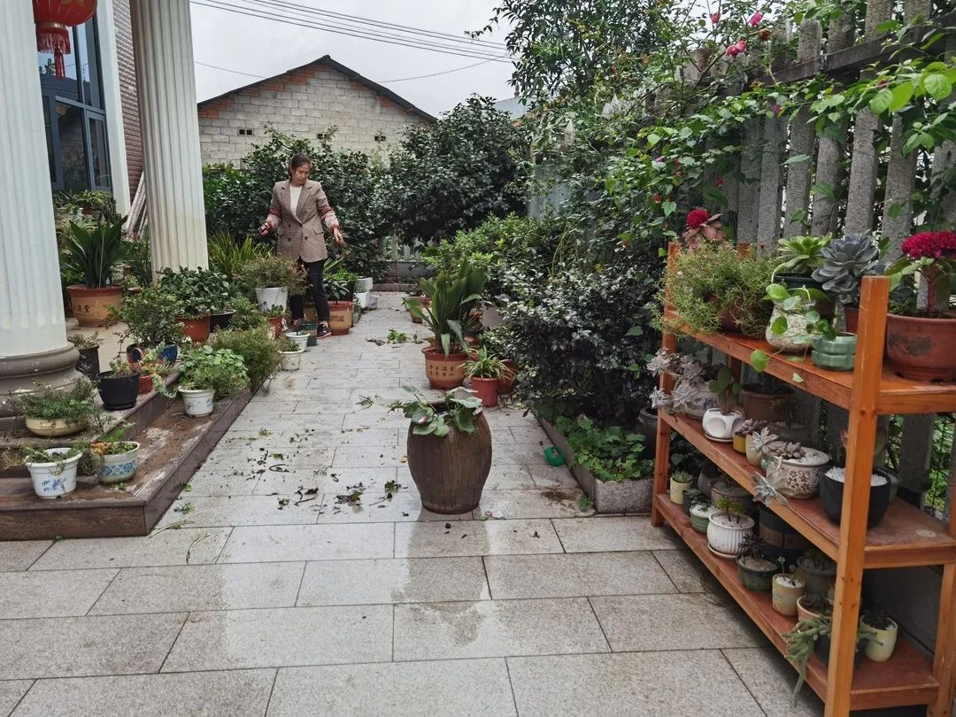 花园庭院样板展①以家庭小美聚乡村大美松阳县妇联打造花园庭院样板村