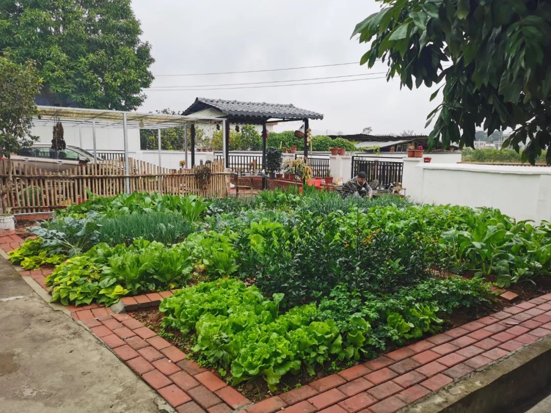 浓墨重彩绘就韶关美丽乡村画卷