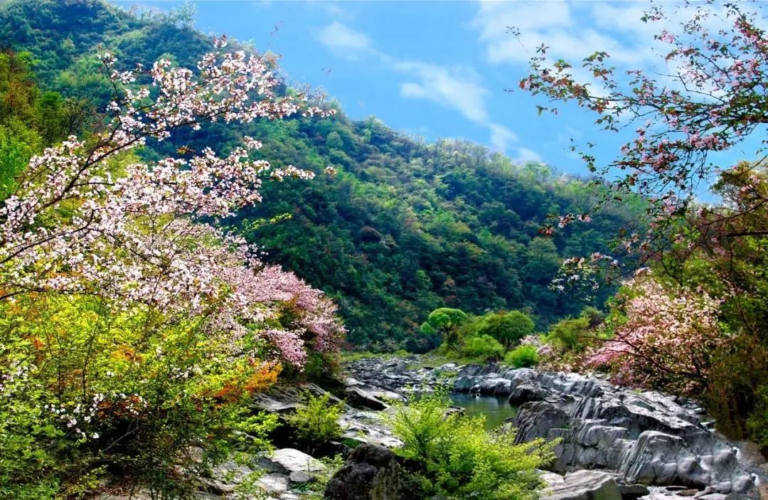 阳坝自然风景区图片