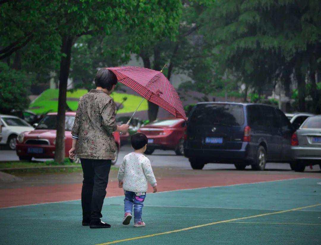 少儿人口抚养比_2021年人口年龄占比图(2)