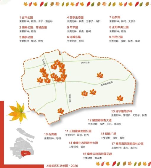错过就是明年奉贤这个公园的美已经藏不住了快来打卡吧