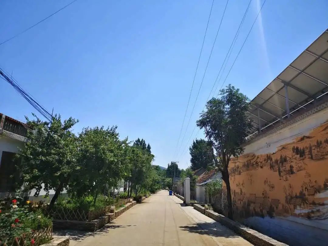 富美庭院打擂台】临沂市兰陵县:多点发力,全民参与,点亮美丽乡村新