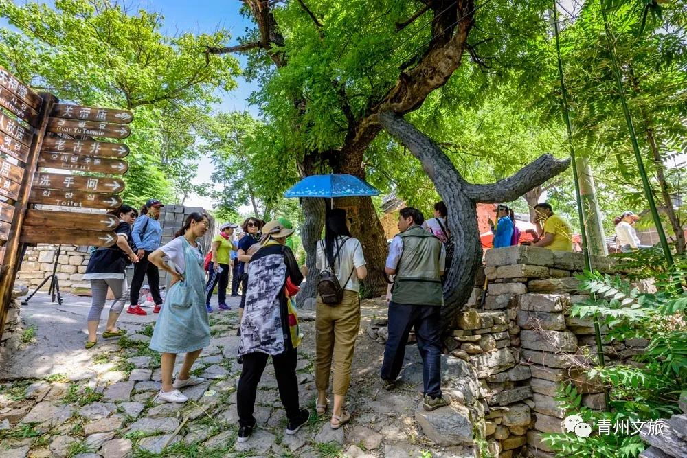 看完这些美图最想去潍坊哪个村旅游