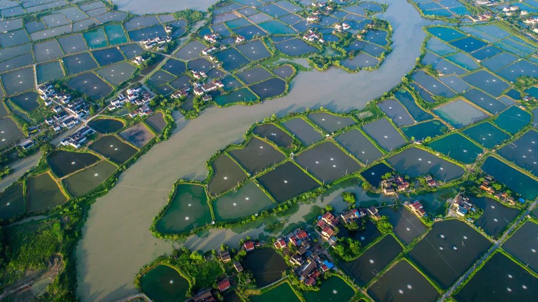 全市新乡贤工作系列展播78南浔区和孚镇篇