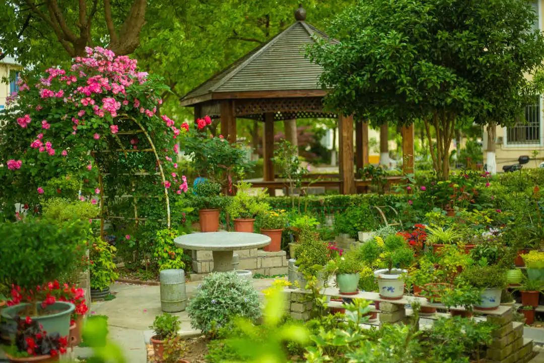 2020年度文明之城美在奉贤十大最美系列创评之最美庭院