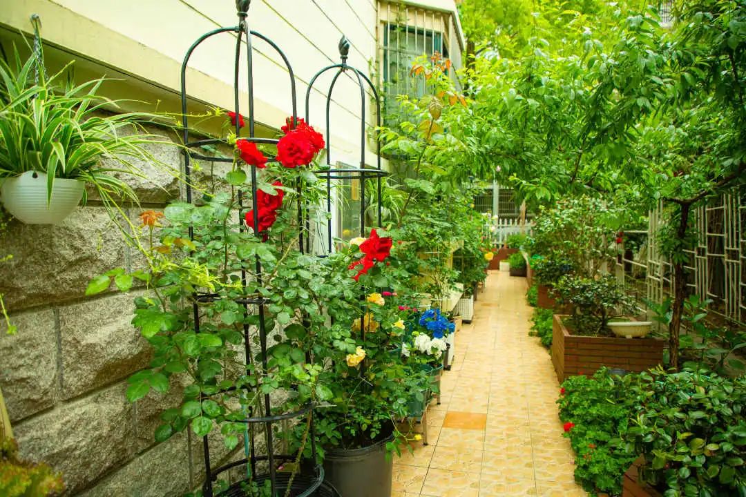 2020年度文明之城美在奉贤十大最美系列创评之最美庭院