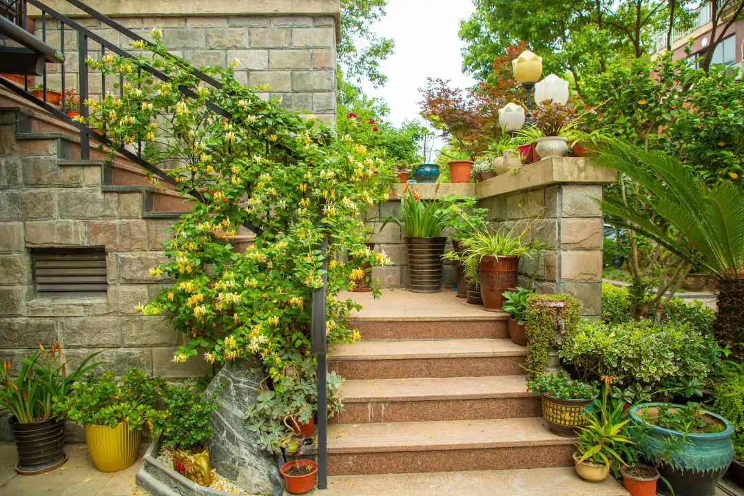 2020年度文明之城美在奉贤十大最美系列创评之最美庭院