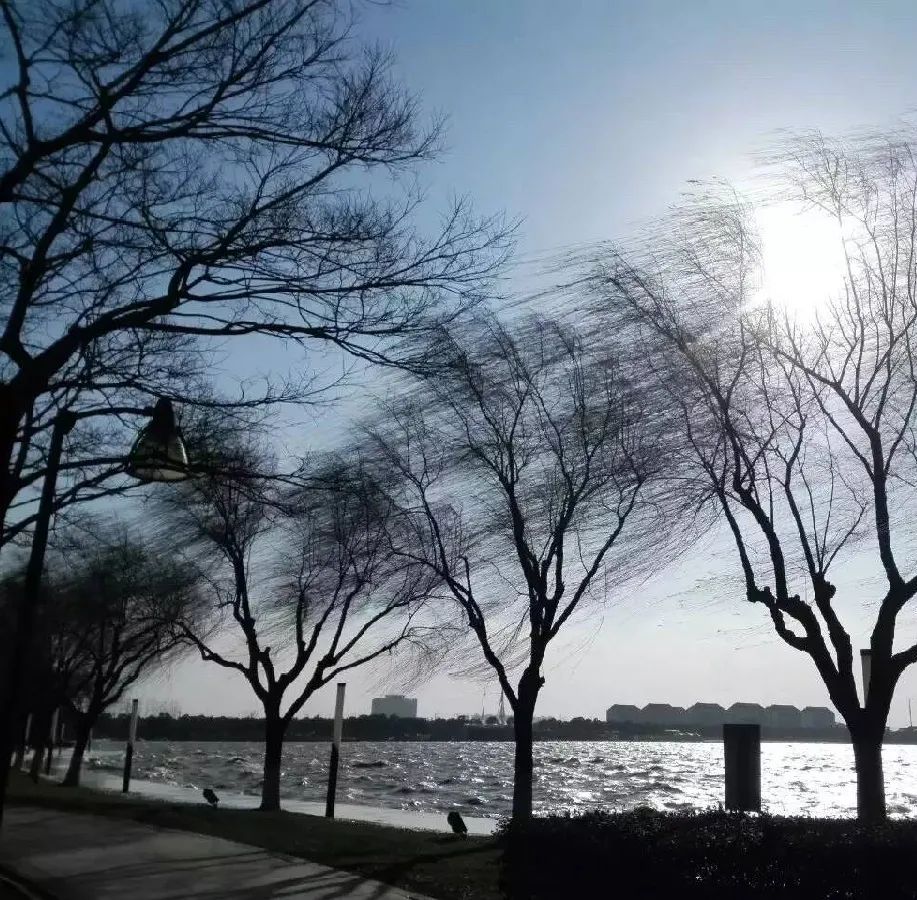 雨雪大风最低6跨年大寒潮来袭