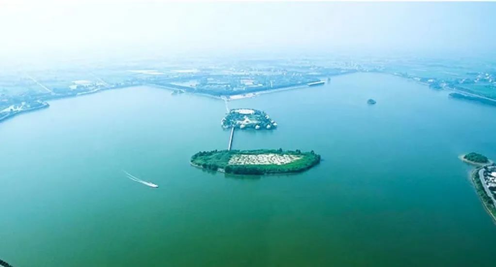 688万元千龙湖冬捕头鱼花落谁家还有这些现场不要错过