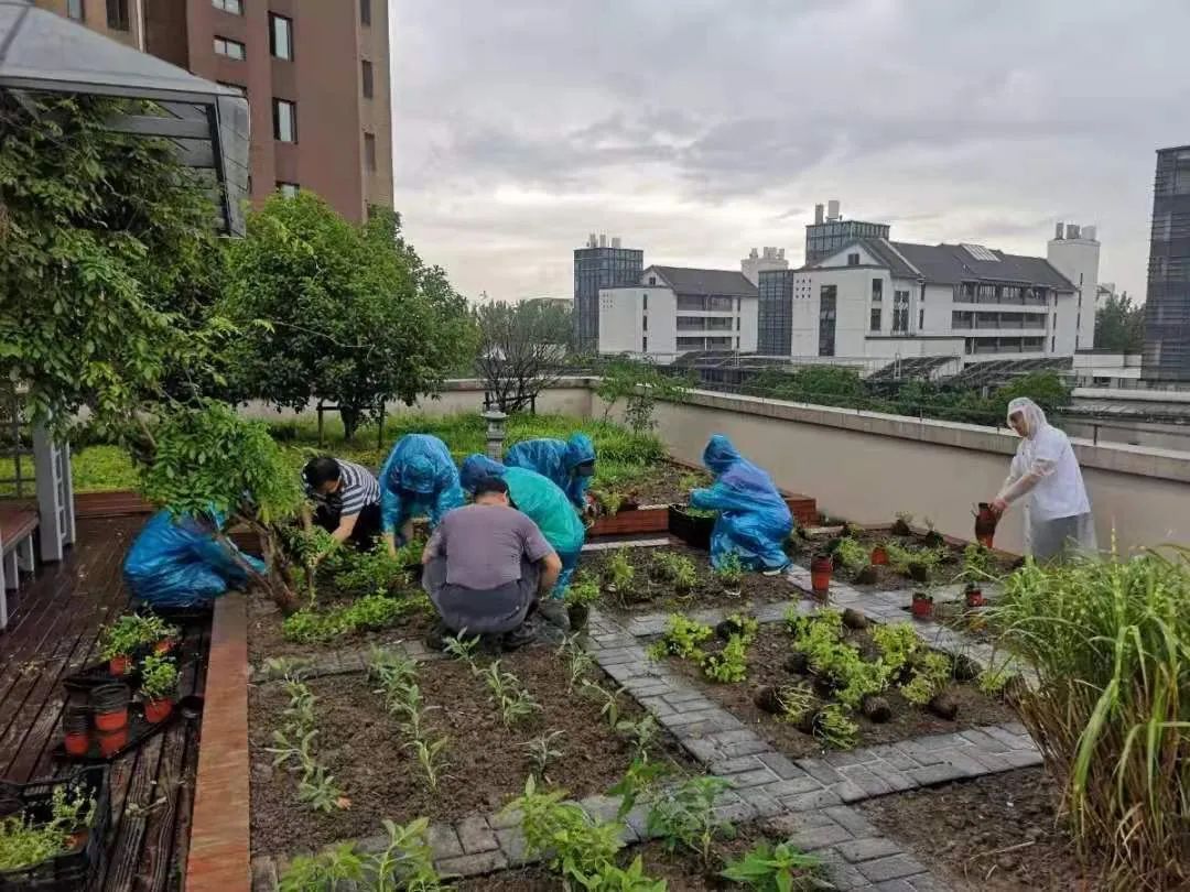 新泾镇破解了这一难题