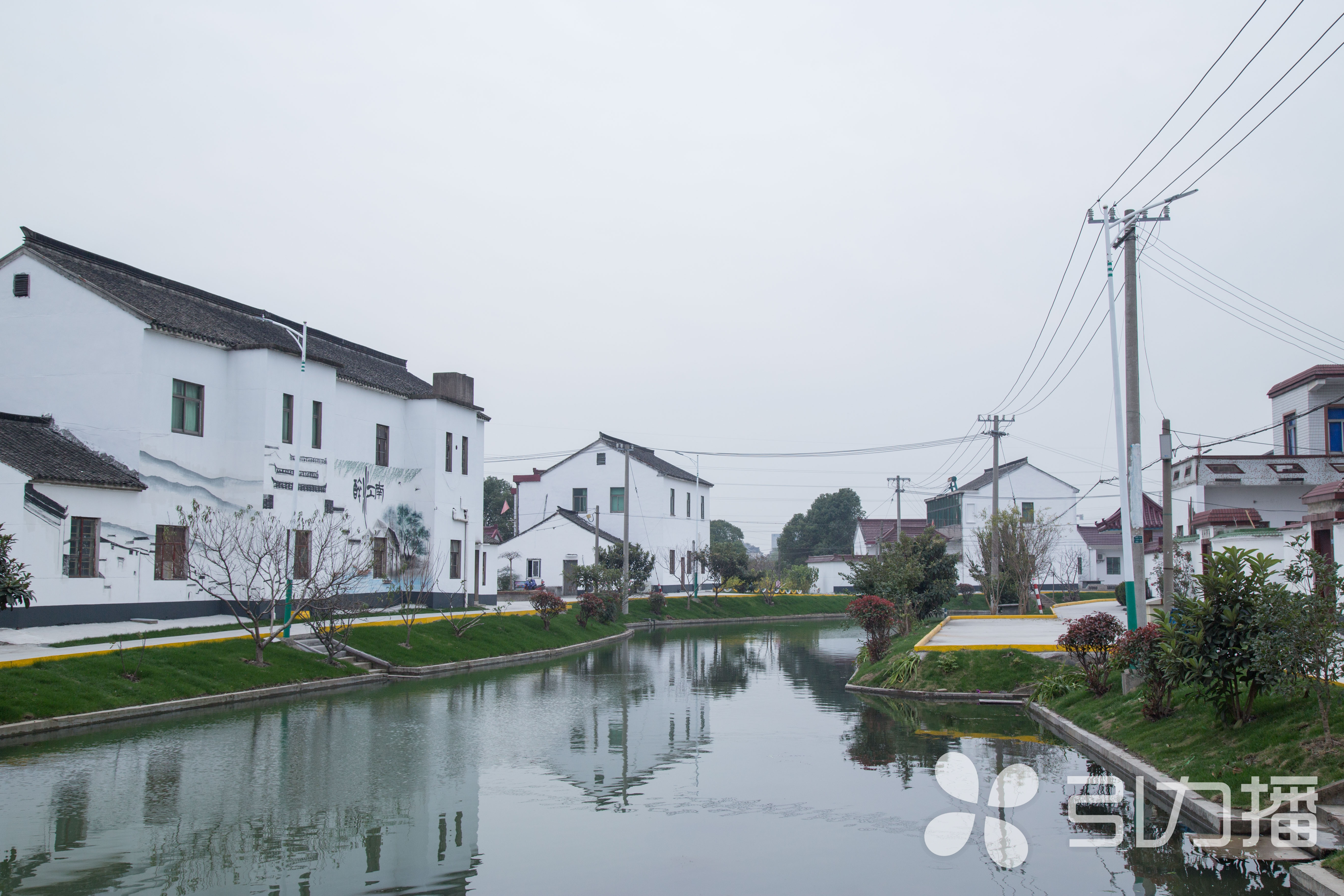 苏州示范乡村朱家浜 环境整治见成效 展示美丽新气象