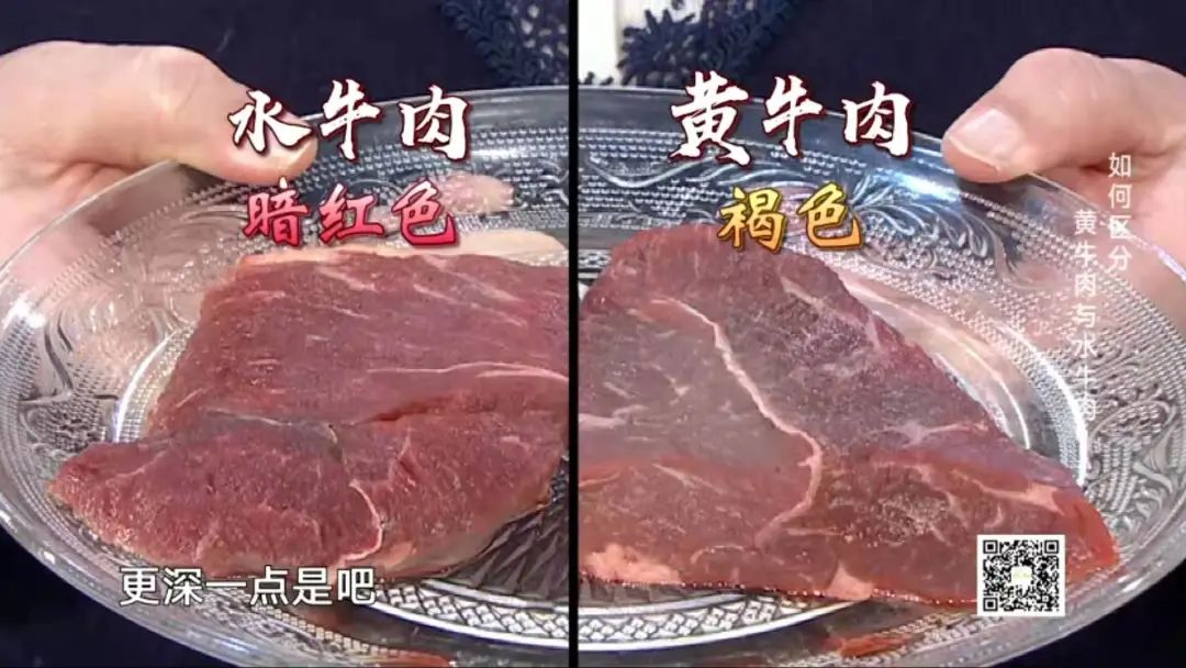 黄牛肉和水牛肉有什么区别