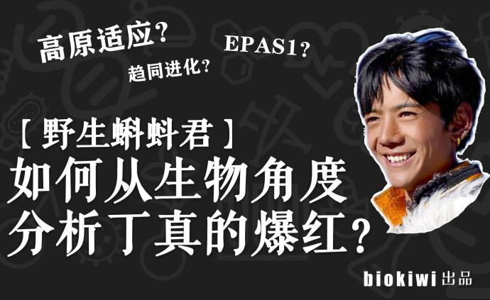 如何從生物學(xué)角度分析丁真的走紅?