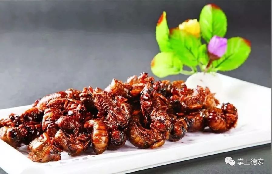 竹虫竹虫又名竹蜂,竹蛆等,竹虫甘香, 时节性较强,每年的10月至次年2月