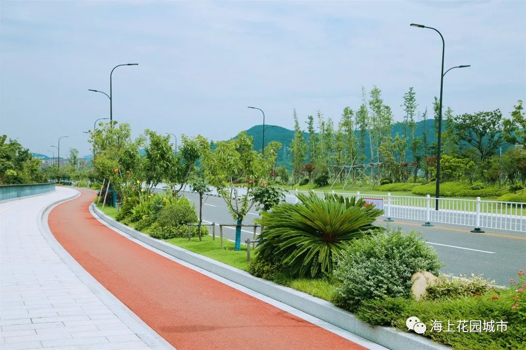 目前滨海大道新城段西段已成为市民夏季纳凉的最佳去处,夜色下的滨海