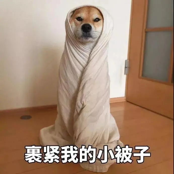 多穿衣服表情包图片