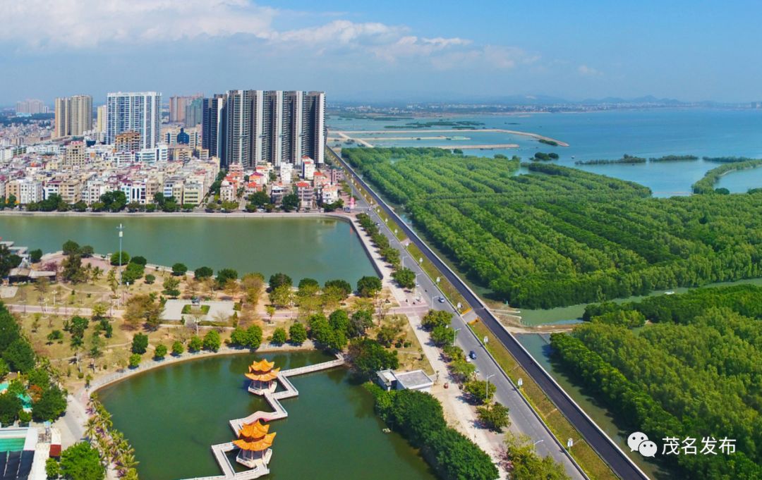 来感受强劲脉动水东湾新城迈出高质量发展铿锵步伐