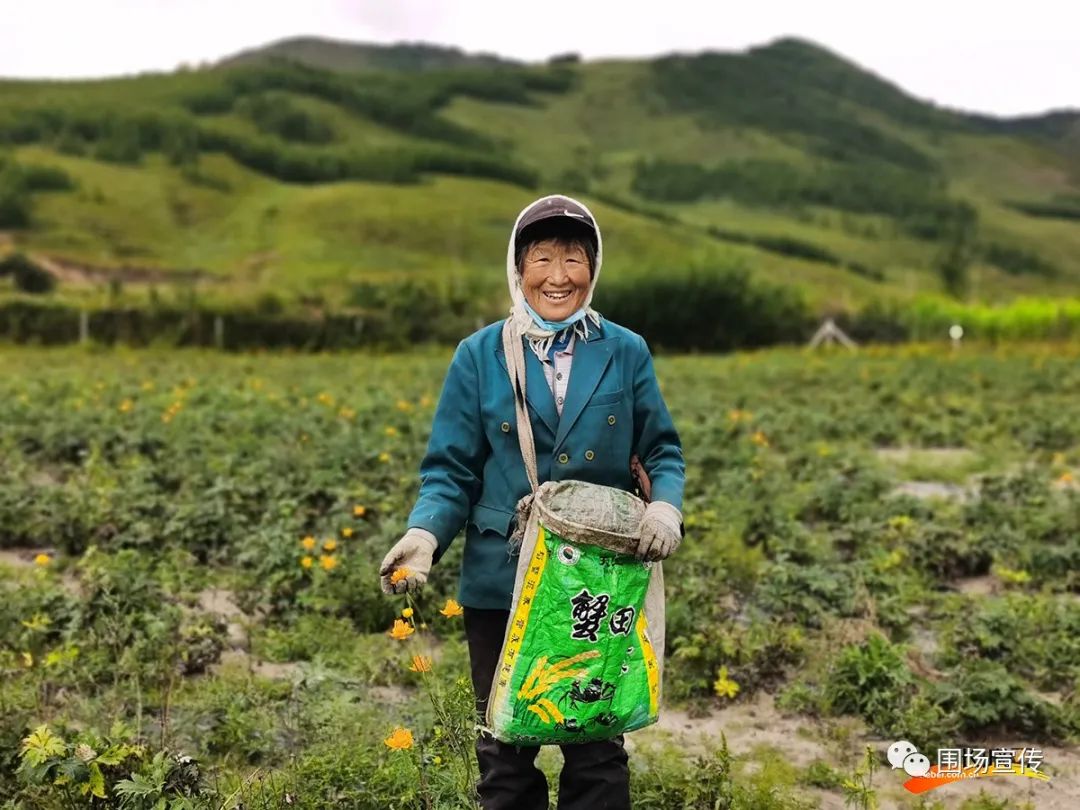 河北围场贾四图片