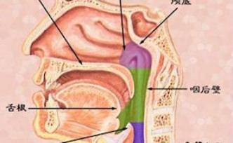 感觉喉咙里天天像有只虫子在爬，当心这个病