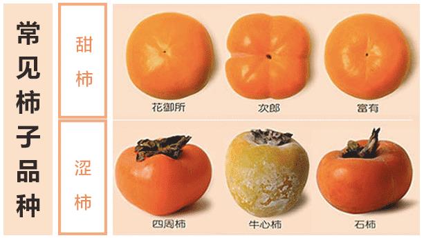 西红柿的部位名称图片图片