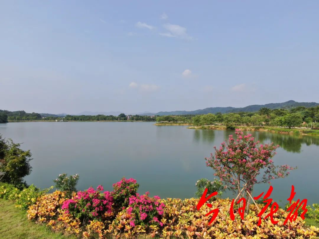 67聚焦打造两村多点岭南盆景小镇赤坭这样做