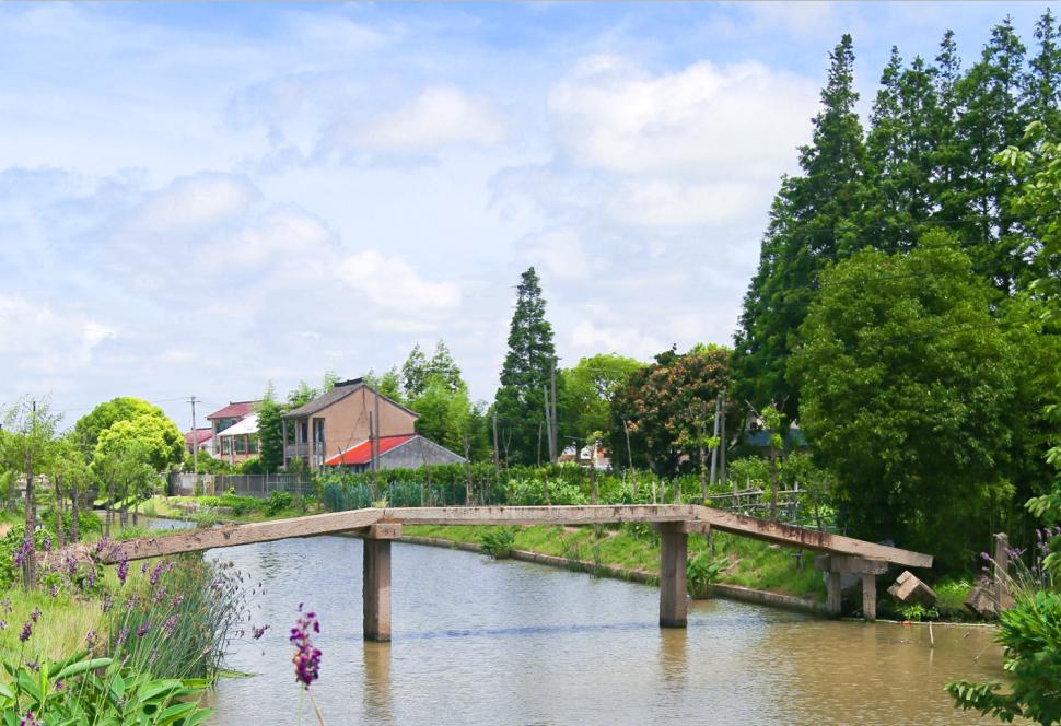 藏不住了奉贤区四团镇河道治理有法宝