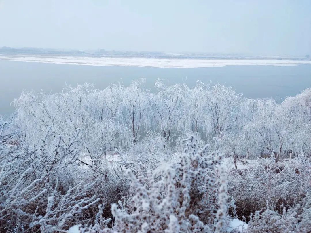 冬天的乌海湖图片