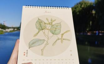 中国人自己的植物月历