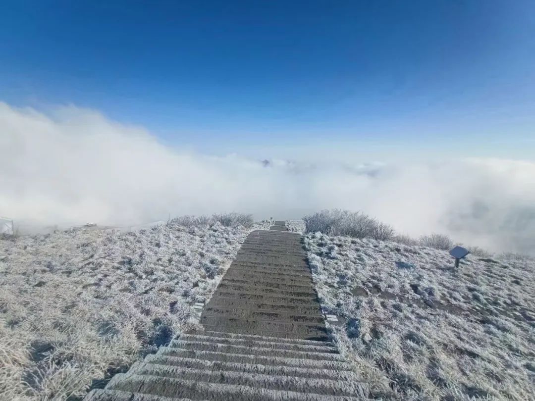 武功山雪后美成仙境还不赶紧来赏雪