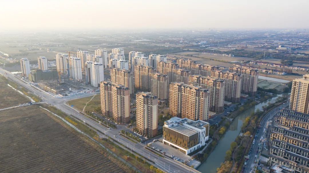 一组相片带您回望柘林的2020