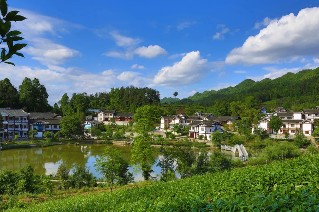 元旦不远行,贵州的这些乡村好玩又温暖