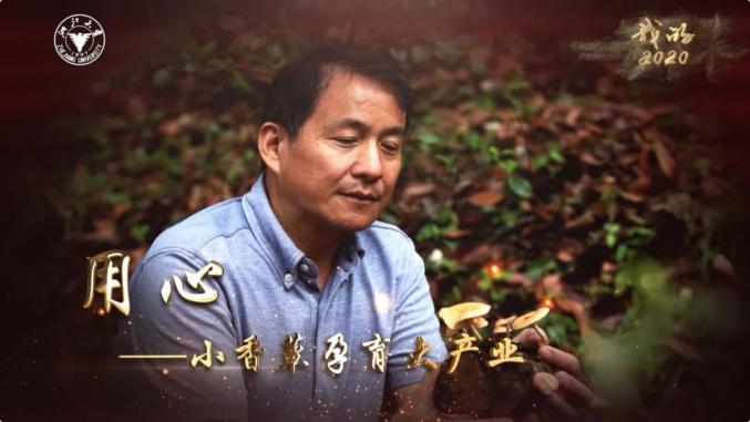 惟创新者强浙江大学四个面向勇攀科研高峰