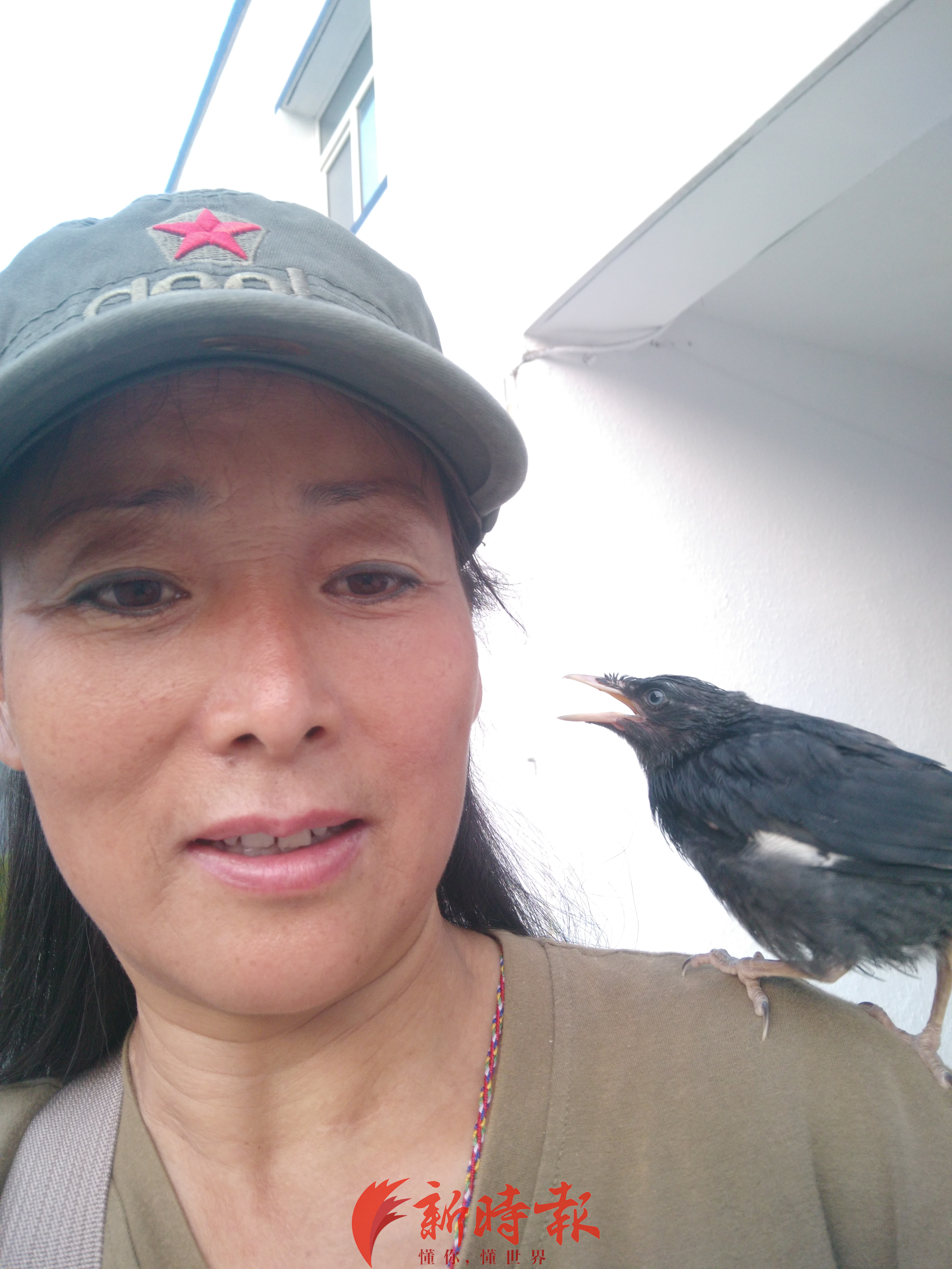 被死亡威胁的野保人刘懿丹她救下100多万只鸟