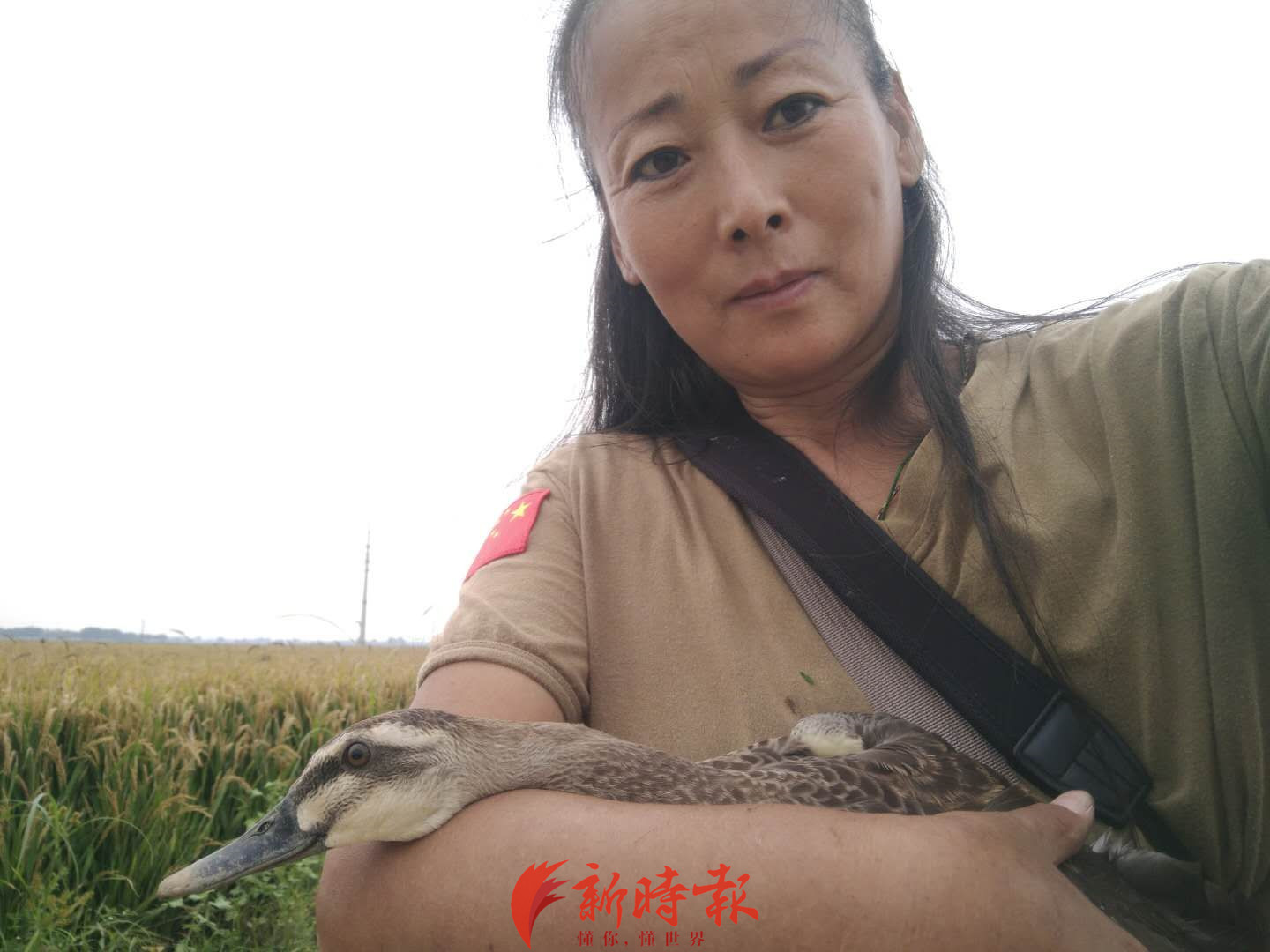 被死亡威胁的野保人刘懿丹:她救下100多万只鸟