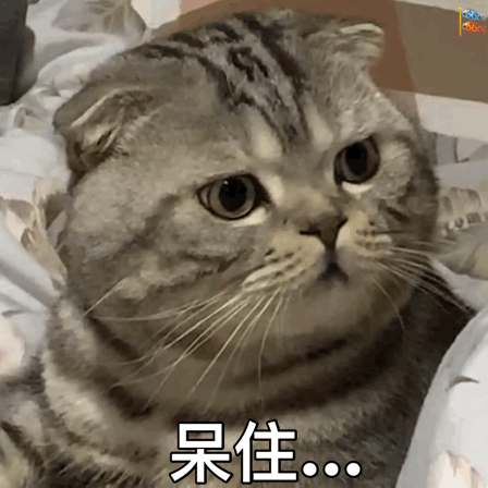 他来了他来了宁波法院2020年度喜感案例爆笑来袭