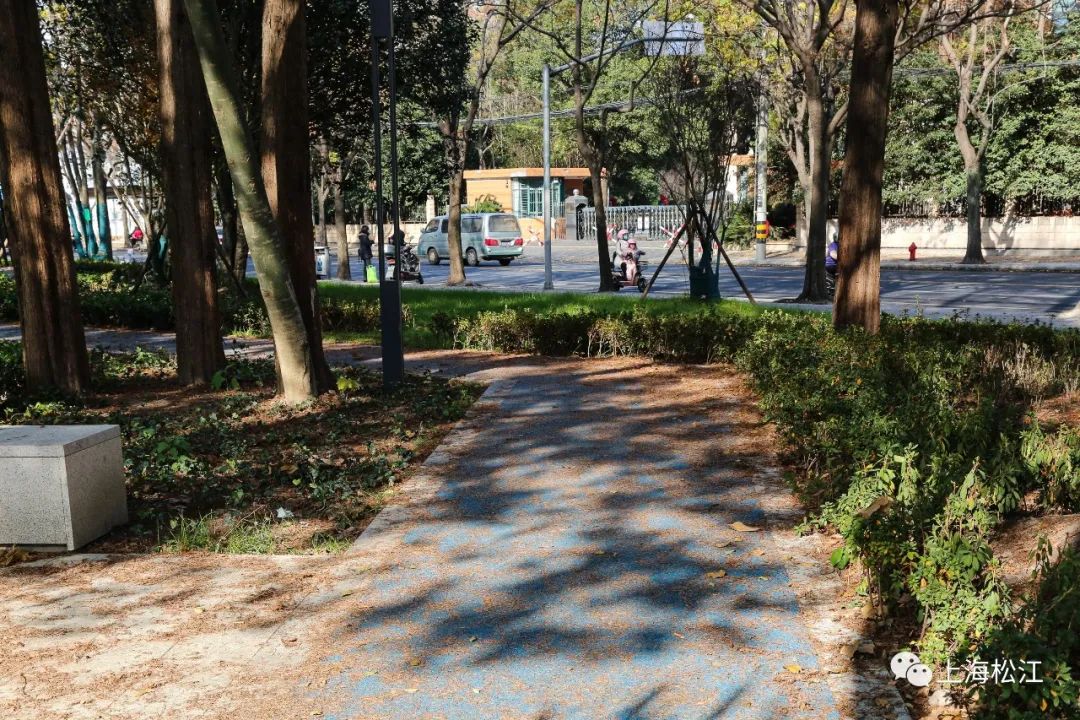 松江部分街头绿地改造完成路边小景亮点多
