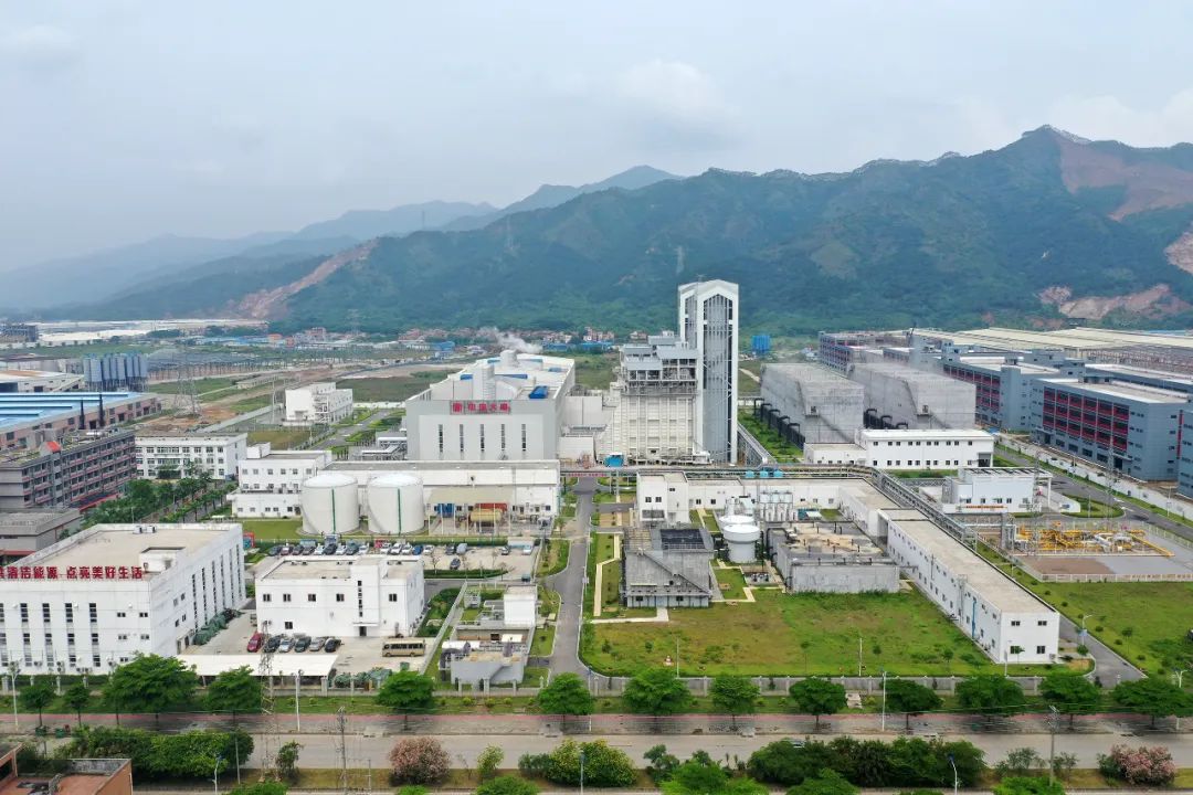 肇庆金利GDP_实时(2)