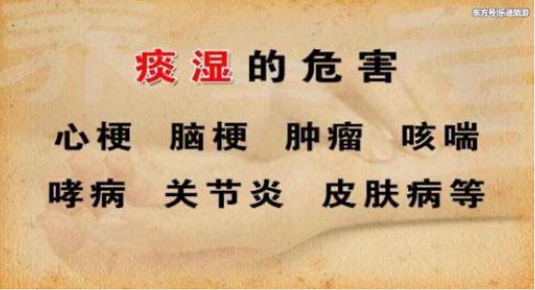 杏林e读懂痰湿体质