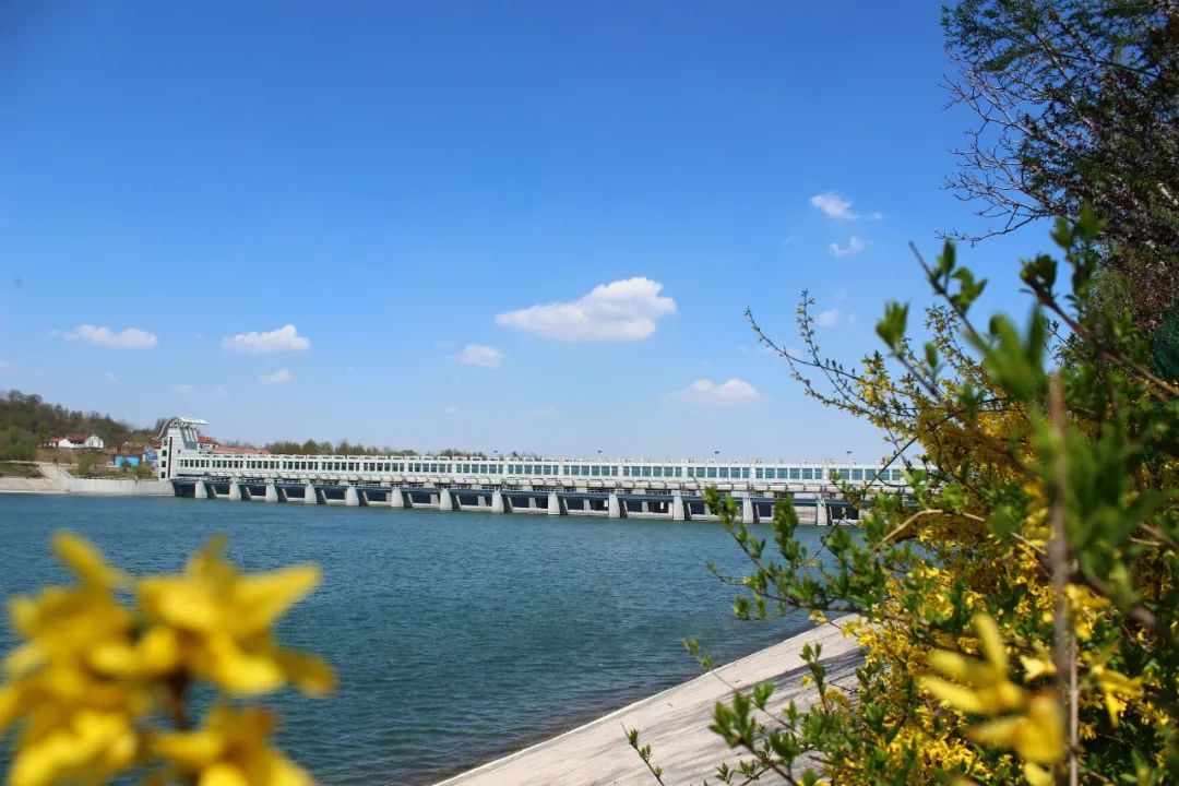 峡山区获批绿水青山就是金山银山实践创新基地新闻发布会召开