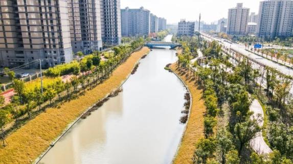 2020年奉贤区星级河道闪亮登场!在你家附近吗?