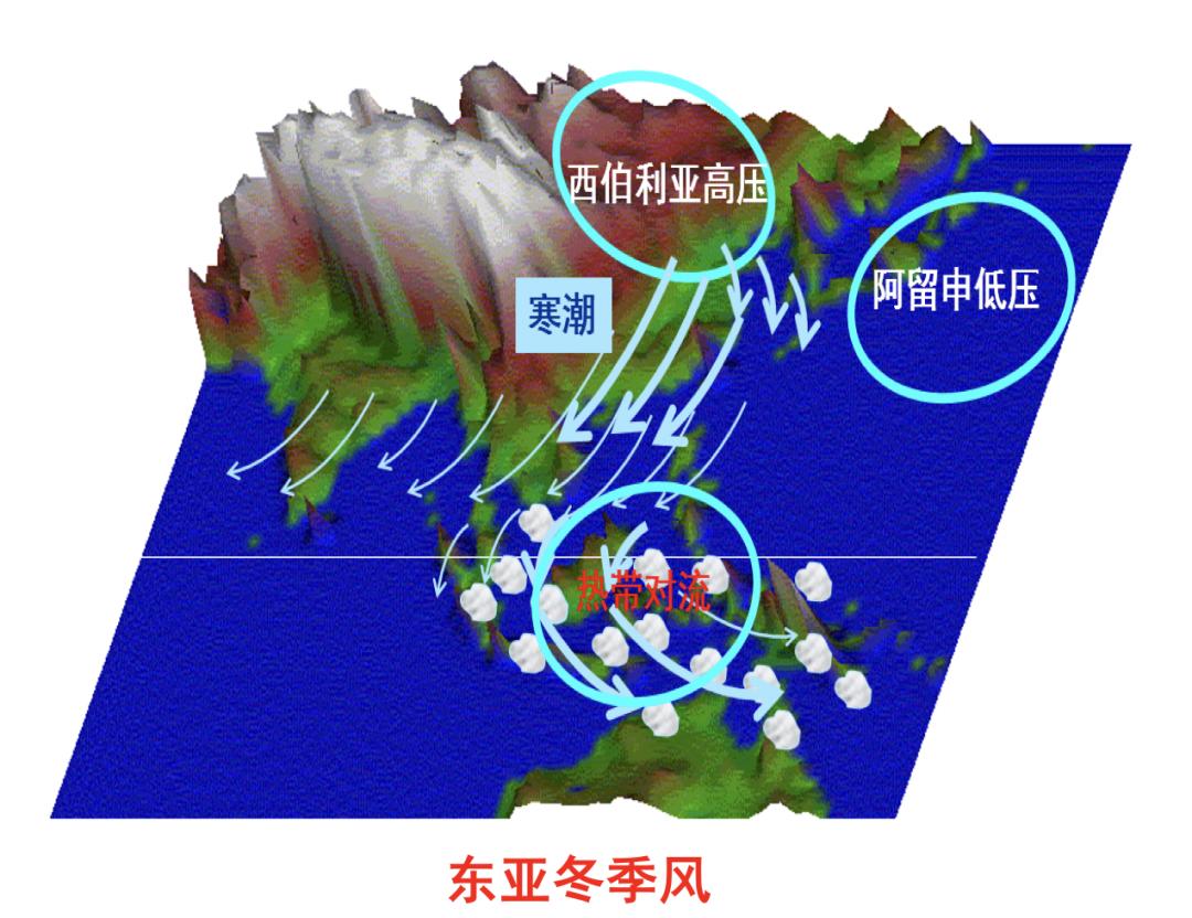 我国地处处于欧亚大陆的东侧,受大陆性气候影响,冬季盛行偏北风,北风