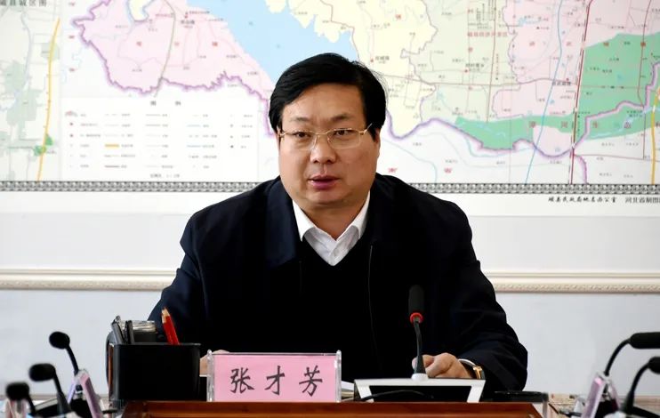 县委书记张才芳专题听取全域旅游总体发展规划汇报