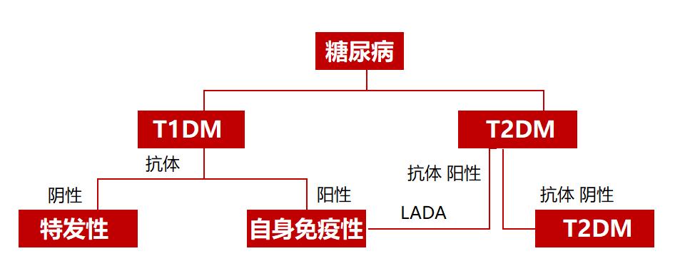 糖尿病诊断不难难的是如何进行精准分型
