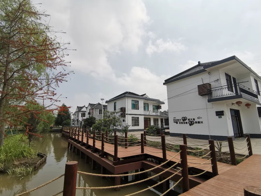 你好,花博 | 冲刺!花博建设如火如荼