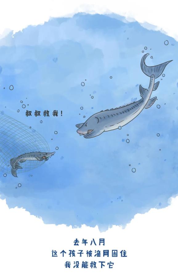 中华鲟也想有个家