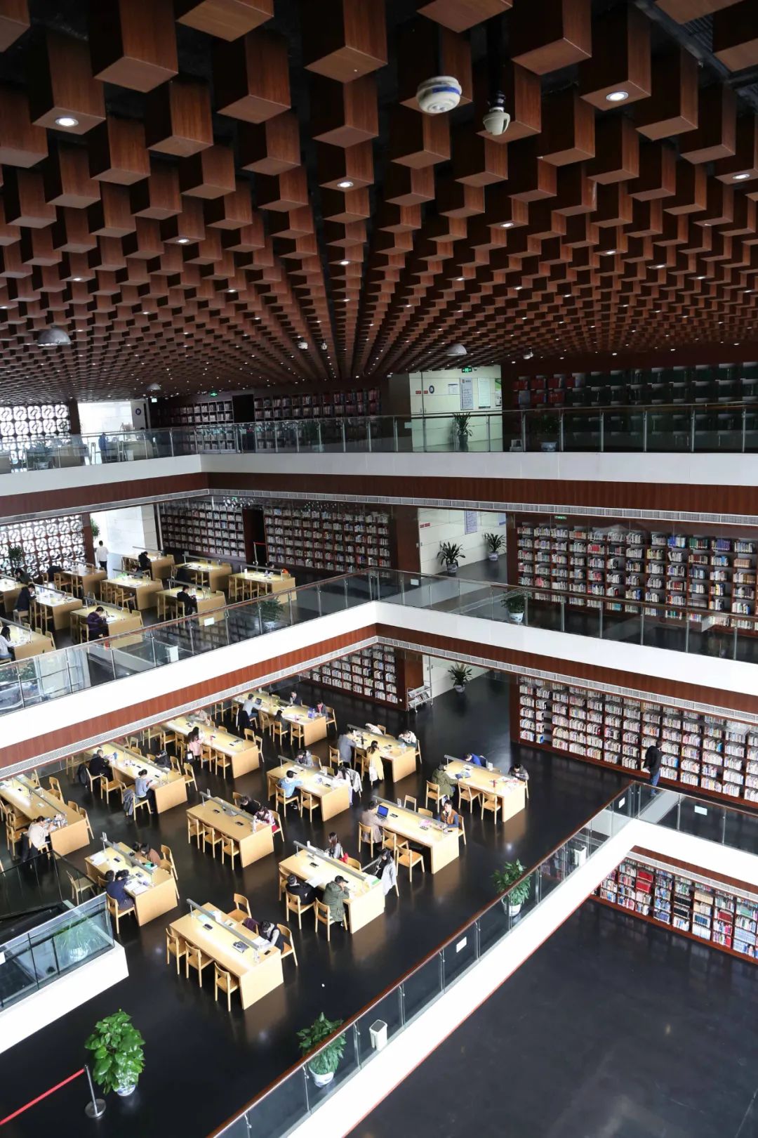 四川国际标榜图书馆图片
