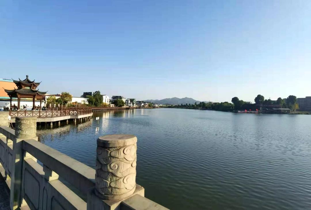 作为所前镇的"门面担当",金临湖村在城郊接合部环境综合治理中,实现了