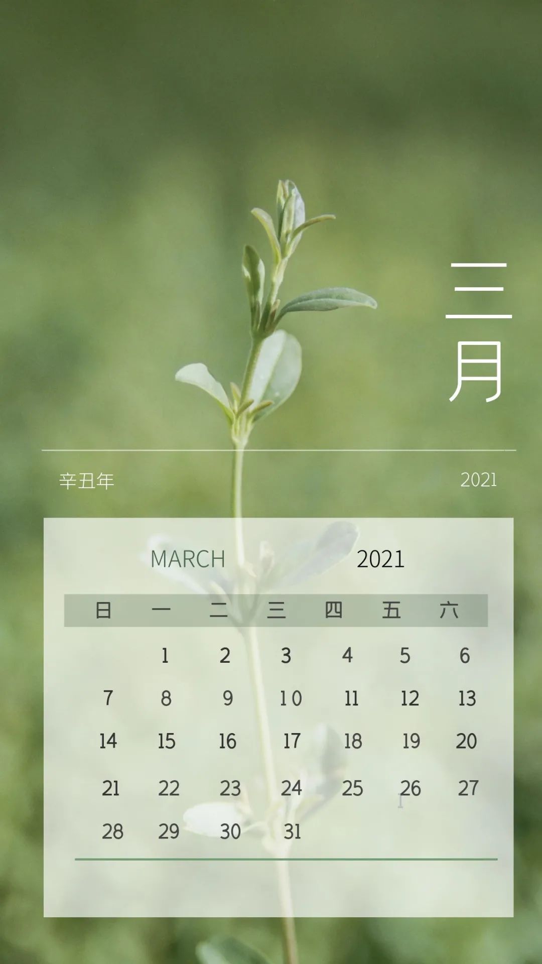 2021月历手机壁纸图片