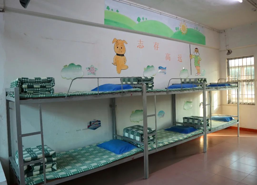 今天他们晋级了